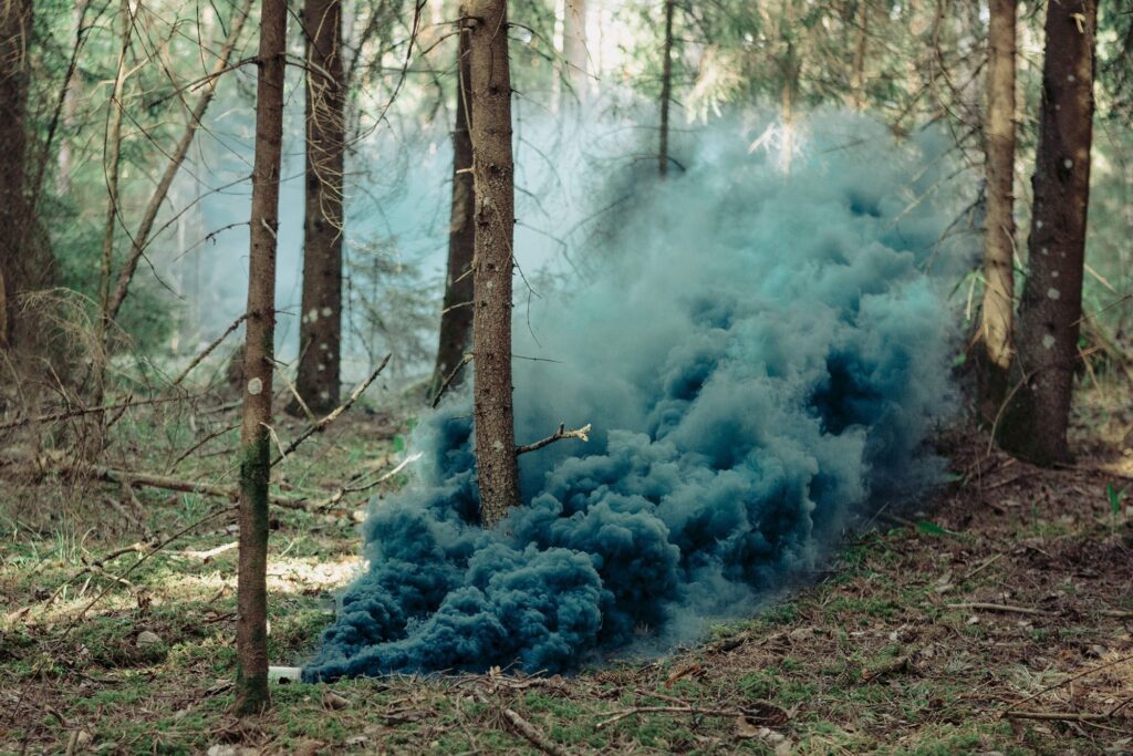 Rauch im Wald bei der NATO-Übung Kevadtorm